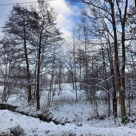 Szewska Pasja Agroturystyka Wiejska Leśna Exteriér fotografie