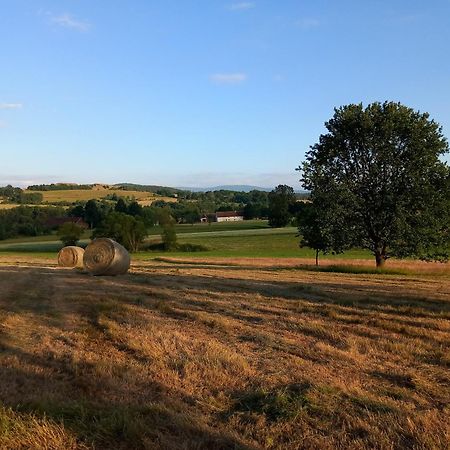 Szewska Pasja Agroturystyka Wiejska Leśna Exteriér fotografie