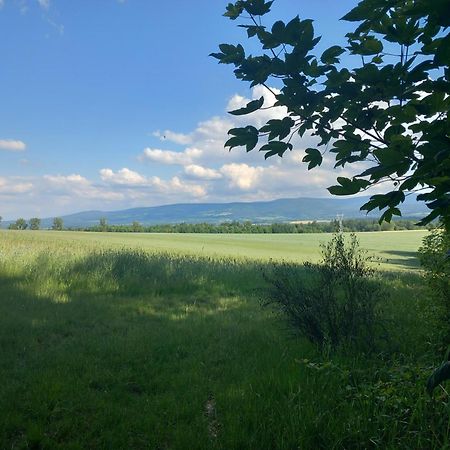 Szewska Pasja Agroturystyka Wiejska Leśna Exteriér fotografie