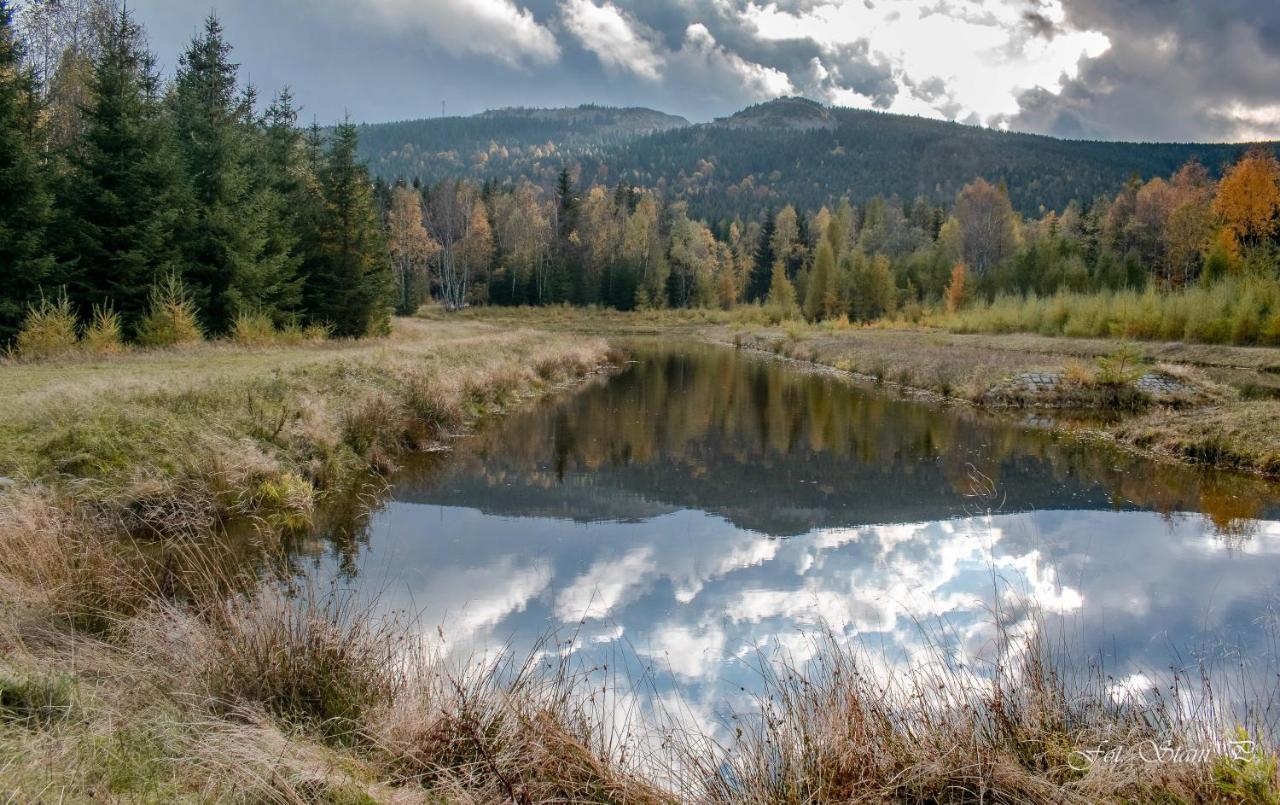 Szewska Pasja Agroturystyka Wiejska Leśna Exteriér fotografie