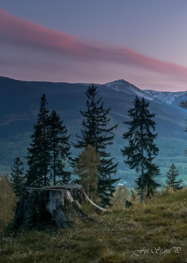 Szewska Pasja Agroturystyka Wiejska Leśna Exteriér fotografie