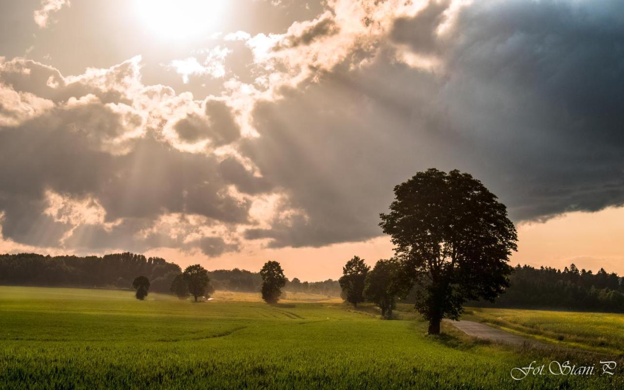 Szewska Pasja Agroturystyka Wiejska Leśna Exteriér fotografie