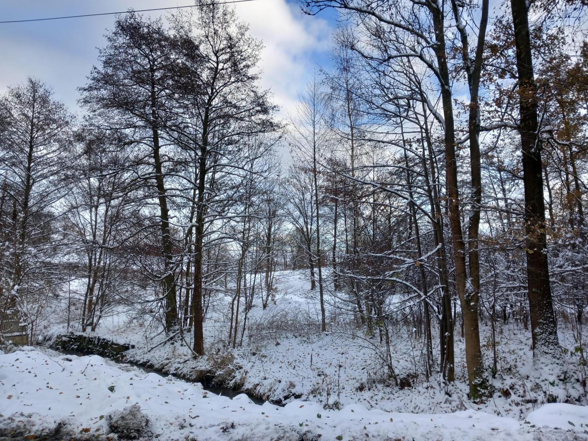Szewska Pasja Agroturystyka Wiejska Leśna Exteriér fotografie