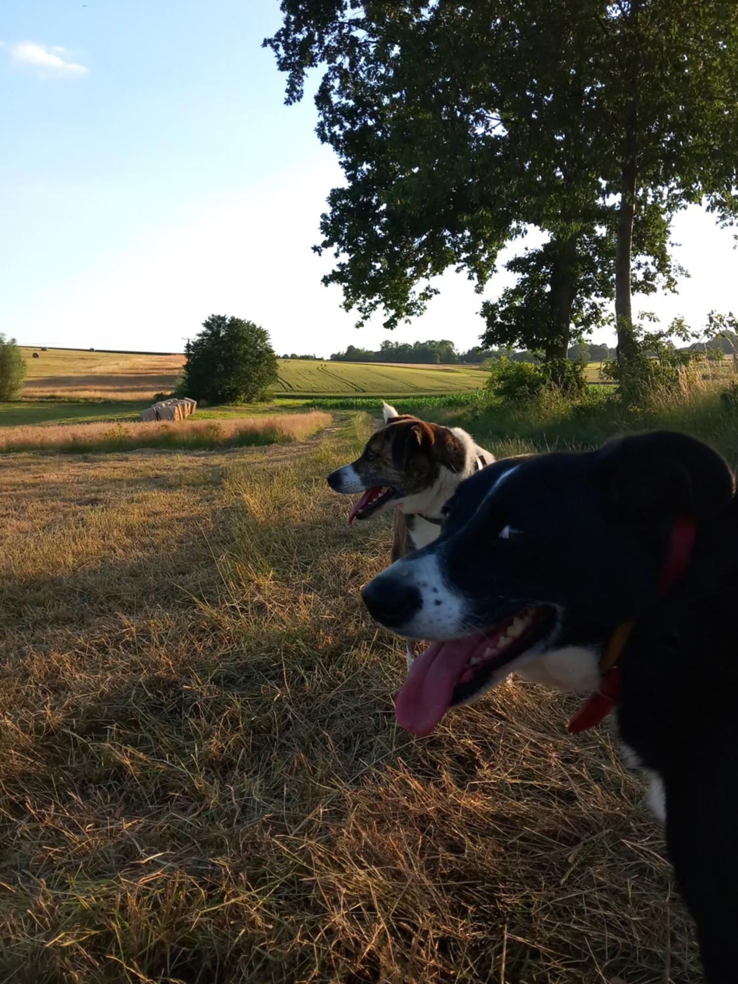 Szewska Pasja Agroturystyka Wiejska Leśna Exteriér fotografie