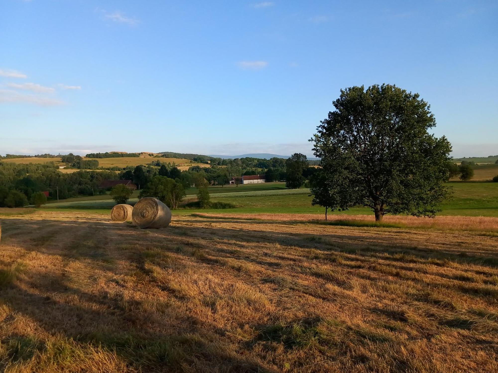 Szewska Pasja Agroturystyka Wiejska Leśna Exteriér fotografie